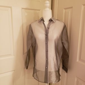 Ann Taylor M Silver Transparent Button-Up Top